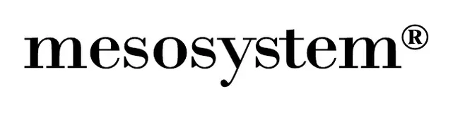 Mesosystem